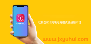 Tospino如何实现一件代发？代发流程详解！