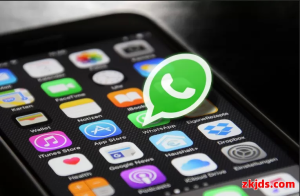 WhatsApp连接不上怎么办？常见问题解决