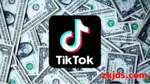 只靠内容也能赚钱？TikTok创作者基金与Marketplace详解