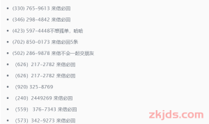 2024最新谷歌GV号Google Voice保号教程 