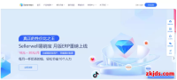 Sellerwell是什么？跨境电商运营系统功能好用吗及月套餐多少钱