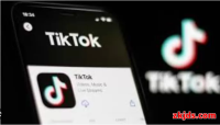 TikTok老号和小白号哪个更好?2025购买选择权威指南