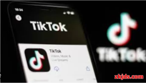 TikTok老号和小白号哪个更好？2025购买选择权威指南