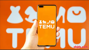 Temu退货流程怎么走？退货规则与注意事项一览