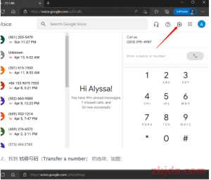 最新谷歌GV谷歌手机号Google Voice号码转移教程(2024版) 