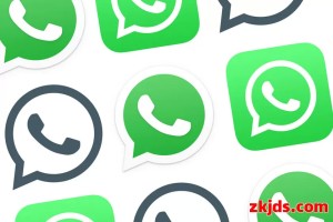 新手必看！完整掌握WhatsApp网页版登录与功能使用