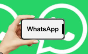 遭遇此账号无法使用 WhatsApp 问题？最完整违规报告与解决建议