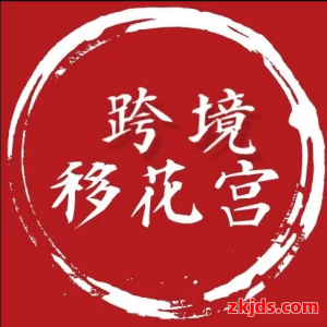 跨境移花宫