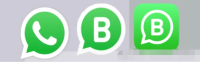 外贸人必备：WhatsApp 的三个版本全解析及使用指南
