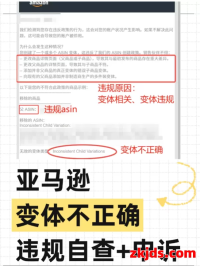 亚马逊变体违规自查+申诉指南 | 避坑必存