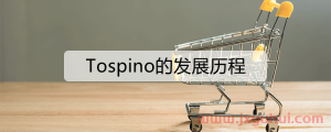 Tospino是否支持批量上传产品？上传方法分享！