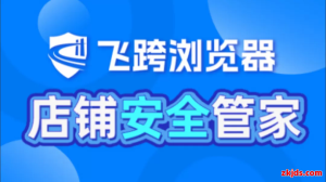 飞跨浏览器订阅服务方案详细对比分析，跨境卖家该如何选择
