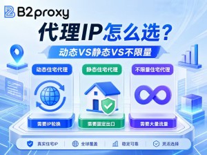 动态VS静态VS不限量：代理IP怎么选？B2proxy实战指南
