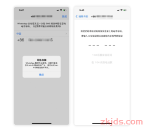 《2025年WhatsApp外贸全攻略：从养号到爆单的全流程指南》