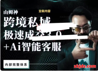 山姆神sam跨境私域3.0线上+AI智能客服高级课（视频网盘）