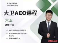 2025年大卫AEO课程 带你从谷歌传统SEO到AEO顺利转型（视频网盘）