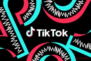 关于TikTok禁令，所有准确简洁的消息汇总