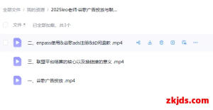 2025leo老师·谷歌广告投放入门到精通与联盟营销｜独立站必学防坑指南（视频网盘）