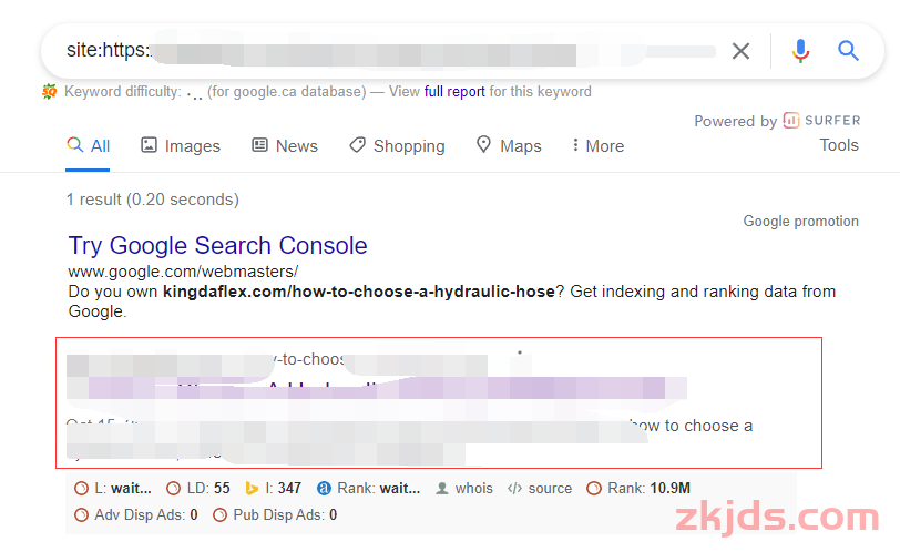 谷歌SEO 如何确定网页已被收录？ 第4张