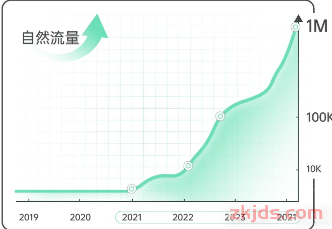 为什么我不建议跨境电商新手只做自然流量？ 第1张