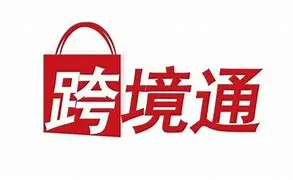 2024中国跨境电商领军企业：谁将主宰未来？ 第11张