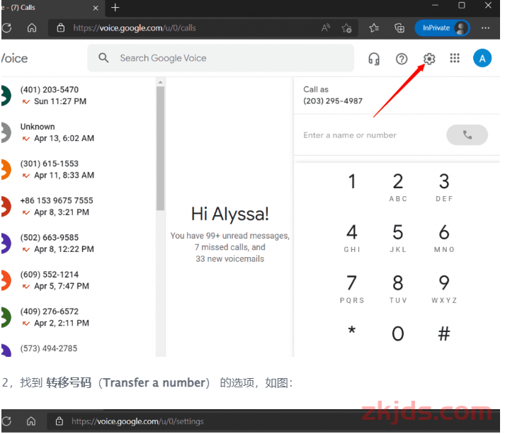 最新谷歌GV谷歌手机号Google Voice号码转移教程(2024版) 第1张