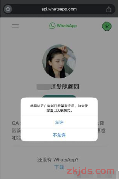 重要更新：谷歌广告新增附加Whatsapp按钮 第2张