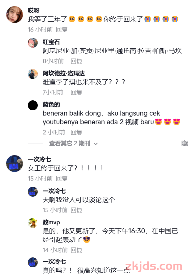 李子柒回归！国风文化出海或将席卷全球 第3张