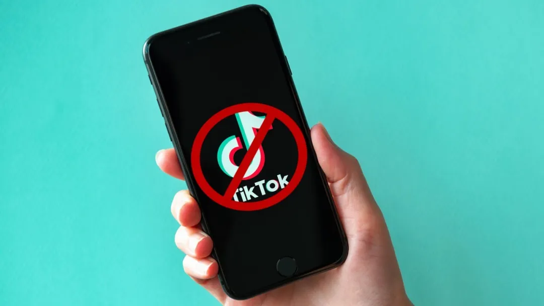 TikTok广告刚跑就被暂停？了解原因，学会申诉，预防再犯！ 第4张