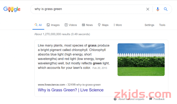GoogleSEO-揭秘谷歌SEO搜索排名的诀窍，轻松应对破千流量 第14张