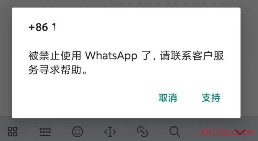 《2025年WhatsApp外贸全攻略：从养号到爆单的全流程指南》 第2张