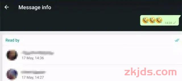《2025年WhatsApp外贸全攻略：从养号到爆单的全流程指南》 第23张