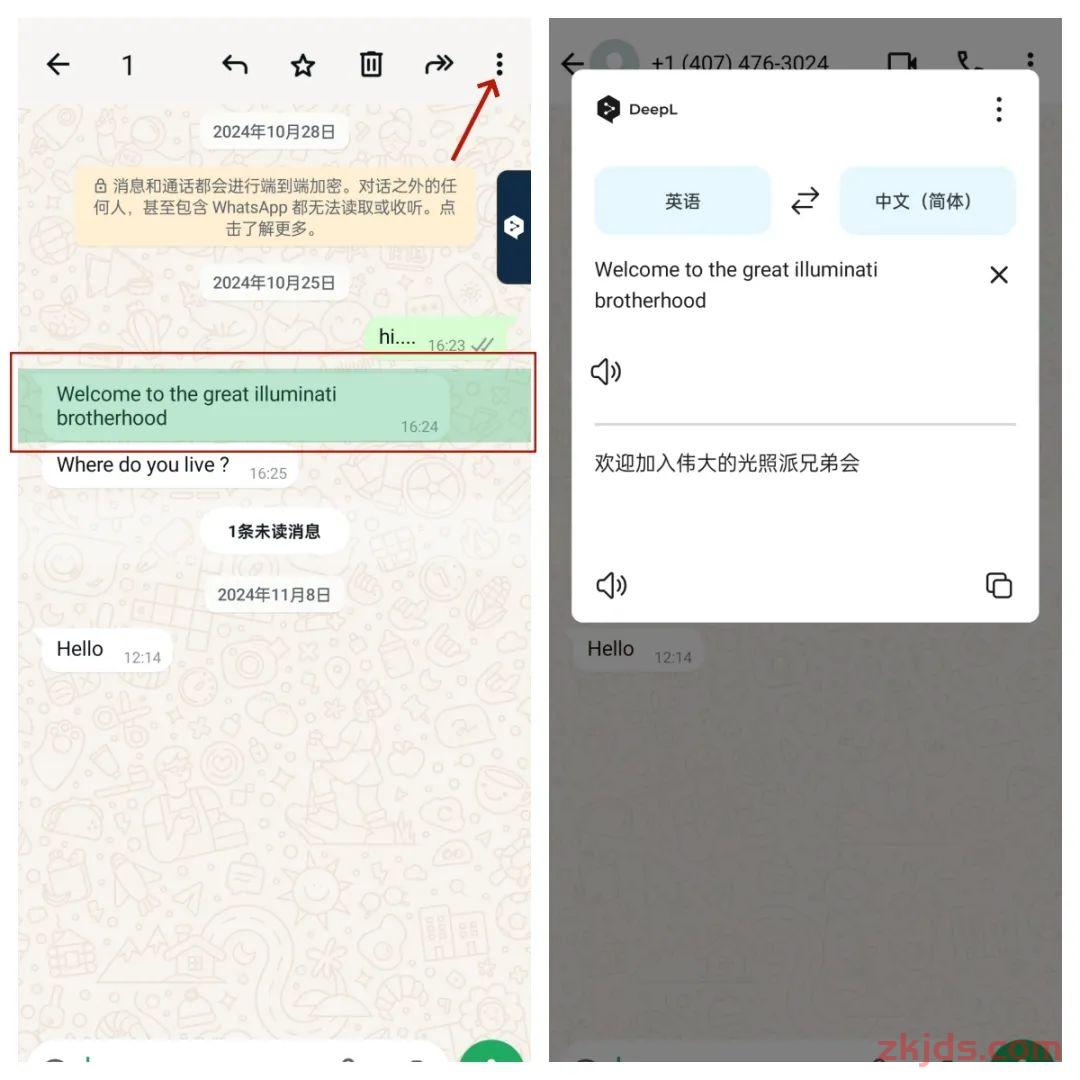 《2025年WhatsApp外贸全攻略：从养号到爆单的全流程指南》 第35张