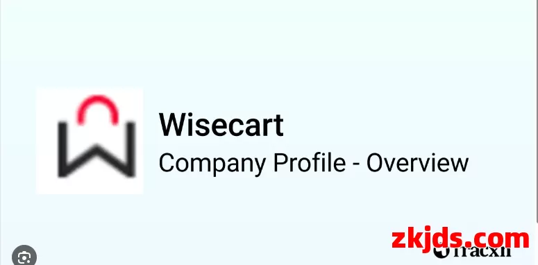 2025年Wisecart开店有什么要求?初期投入费用需要多少?能赚钱吗? 开店注册流程是什么？ 第1张