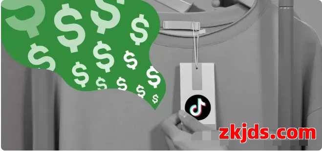 TikTok引流 + 独立站成交，跨境玩家必须掌握的闭环打法（含实操案例） 第2张