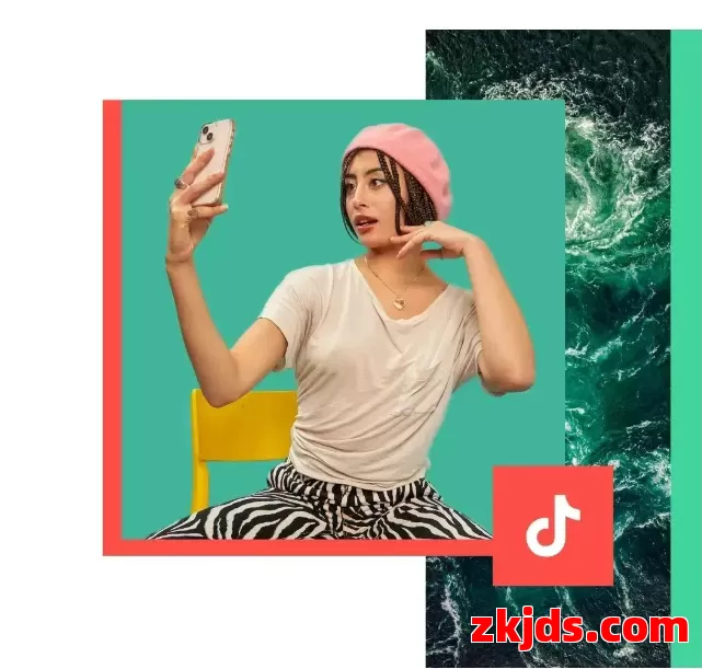 TikTok账号类型全解析：你到底适合哪一种账号?“企业号”、“个人号”、“橱窗号”、“店铺账号”、“小黄车账号”。。。 第2张