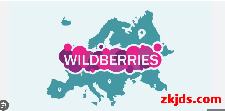 2025年Wildberries开店有什么要求?初期投入费用需要多少?能赚钱吗? 开店注册流程是什么？ 第1张
