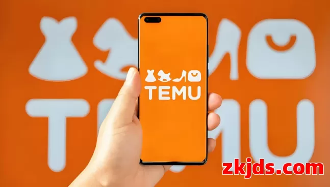 TEMU 推出Y2模式：“虚拟海外仓”终于可以上台面了？ 第1张