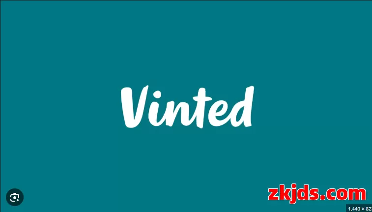  2025年Vinted开店有什么要求?初期投入费用需要多少?能赚钱吗? 开店注册流程是什么？ 第1张