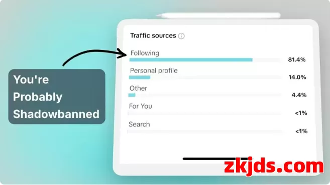 别被限流吓到：TikTok账号体检自查表 第3张