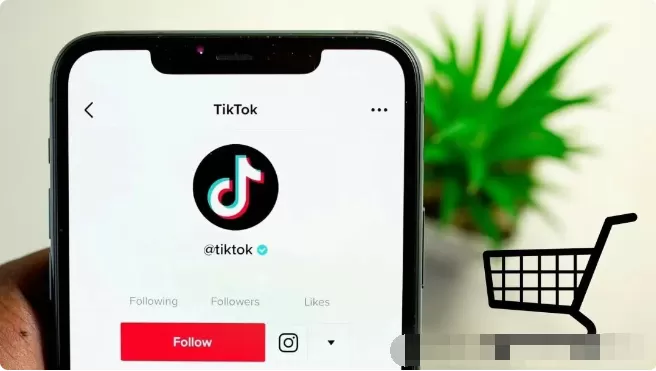 TikTok小店运营全流程：本土、跨境与达人货架型店铺对比 第3张