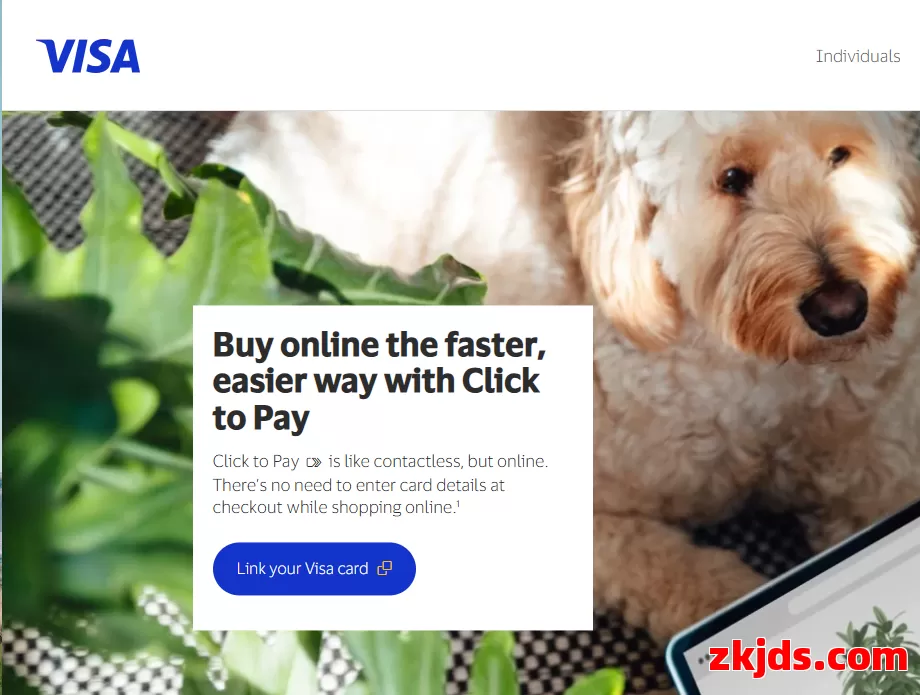 Visa Checkout 第1张