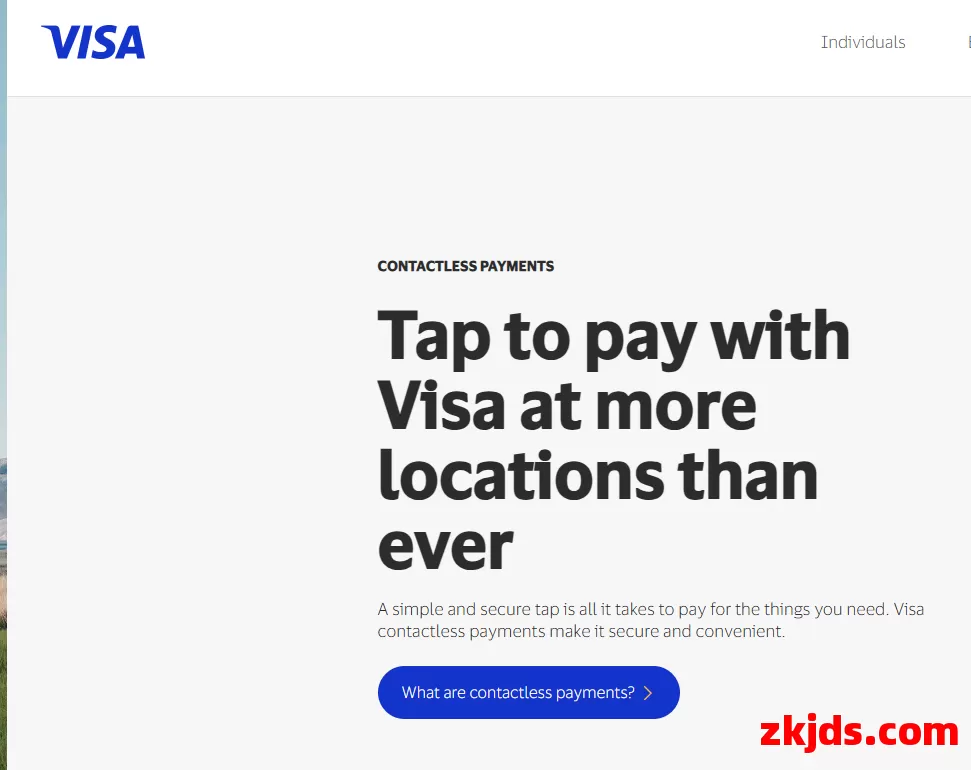 Visa Pay 第1张