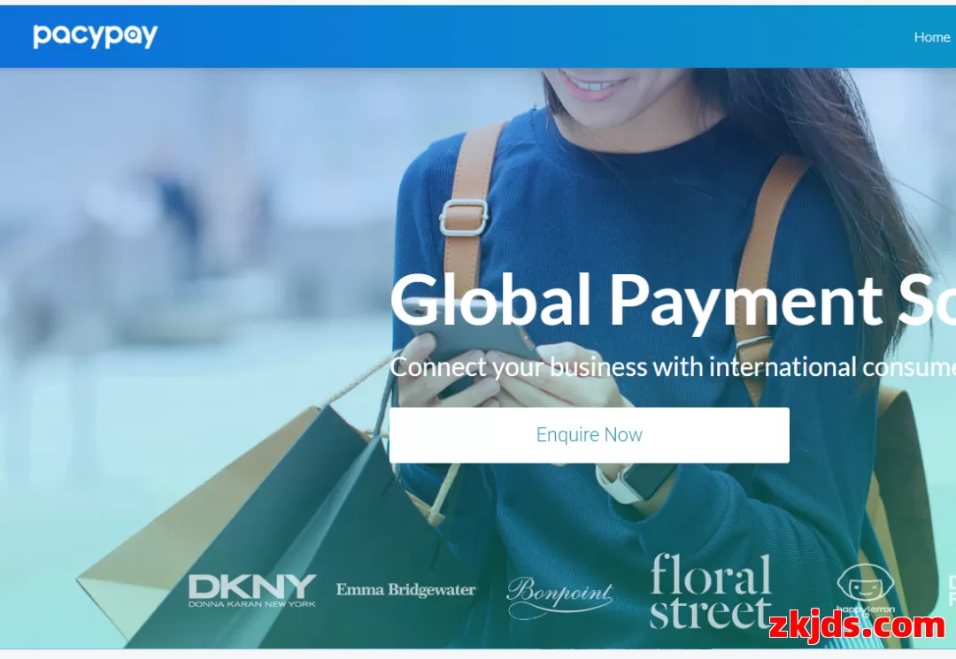 Pacypay 第1张