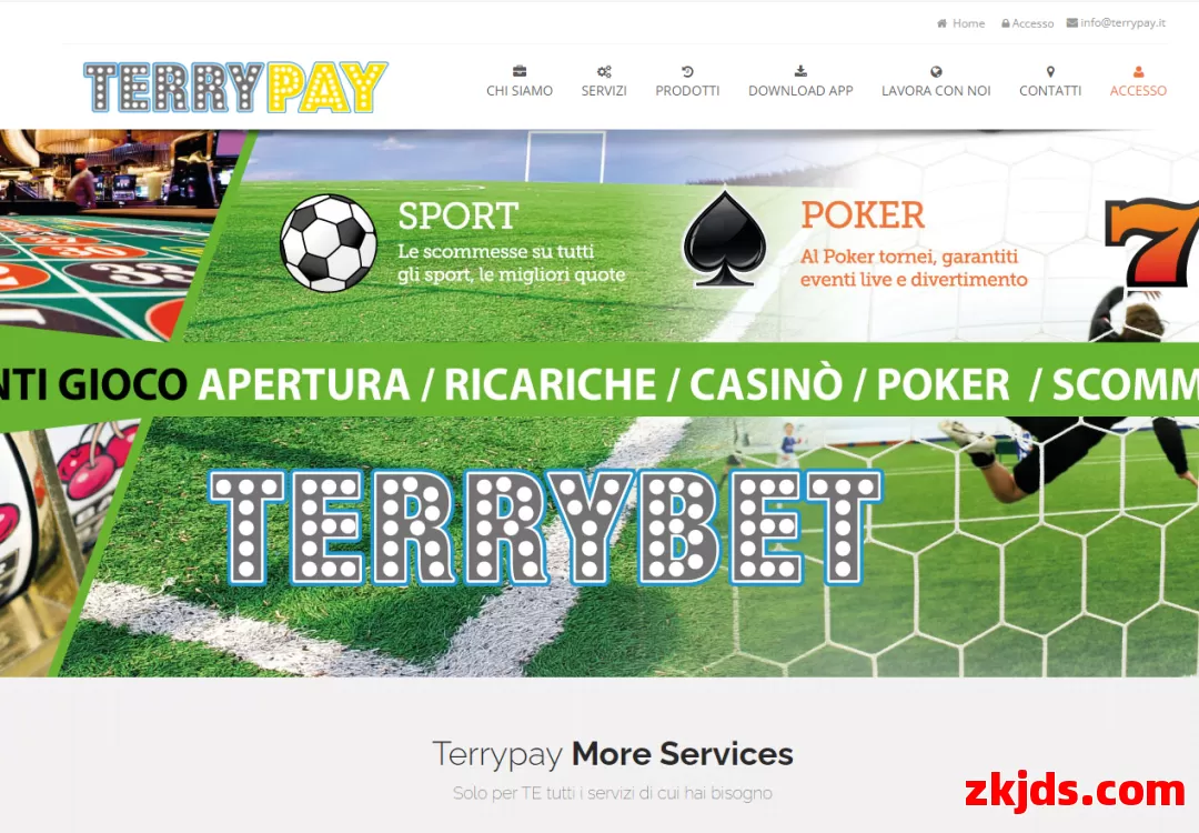 TerryPay 第1张