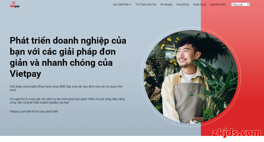 Vietpay 第1张