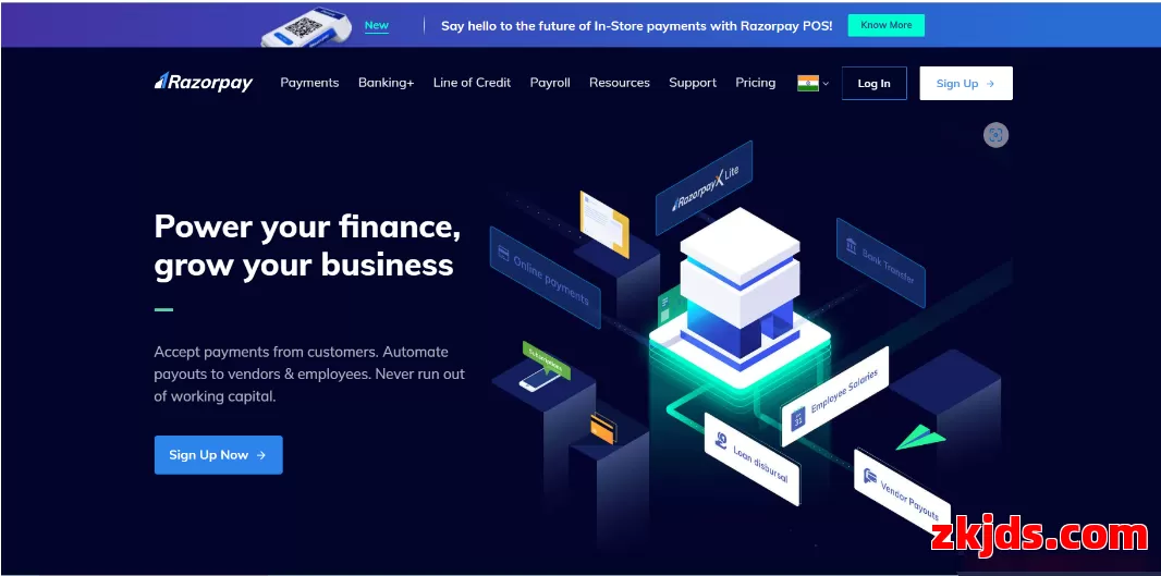 Razorpay 第1张