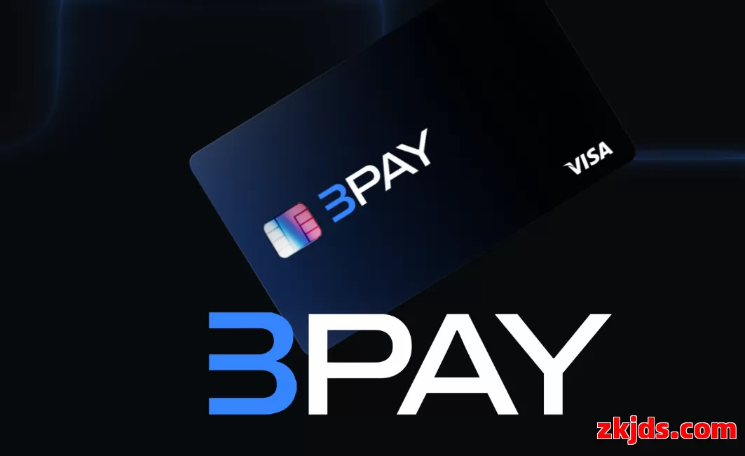 3pay 第1张