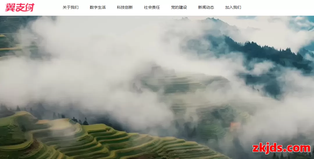 翼支付 第1张