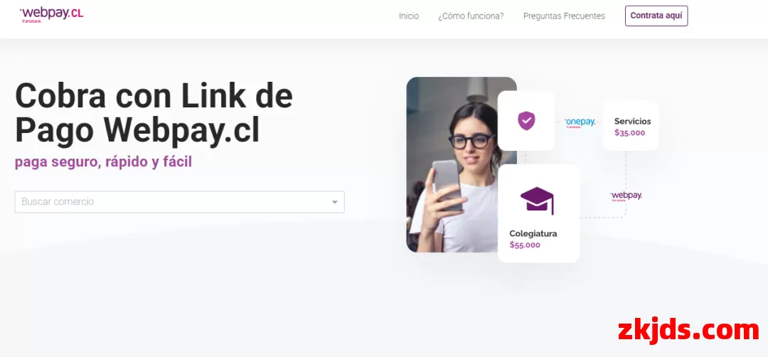 Webpay 第1张